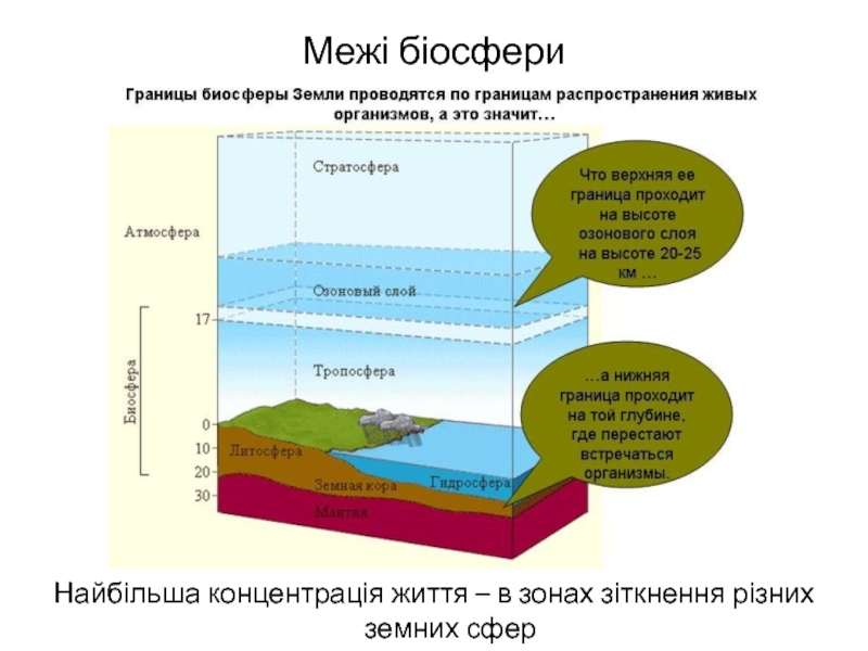 Верхняя граница в атмосфере определяется. Биосфера границы биосферы. Границы биосферы схема. Верхняя граница биосферы. Границы биосферы в пределах атмосферы.