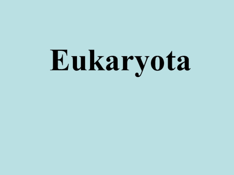 Eukaryota