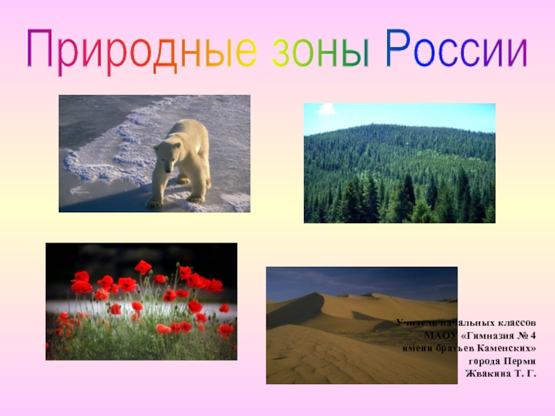 Презентация Природные зоны России 