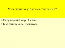 Что общего у разных растений? (1 класс)