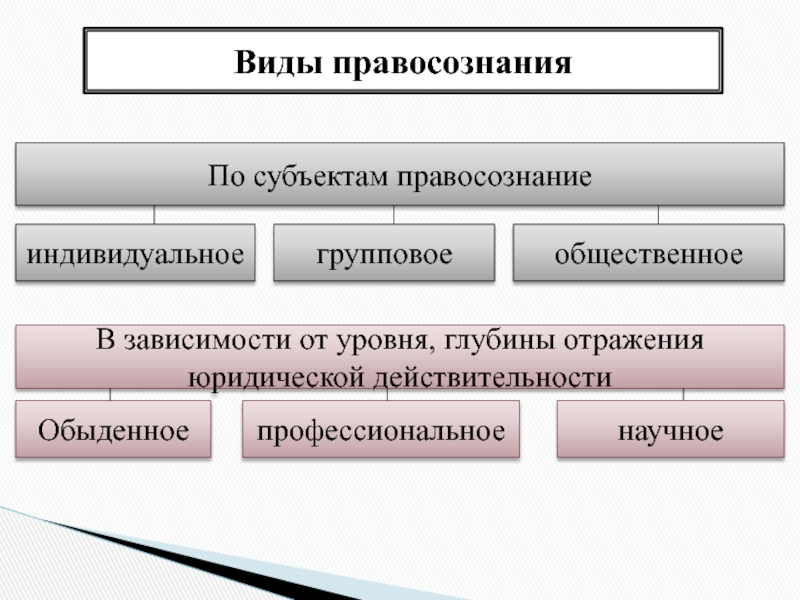 Профессиональное сознание юристов презентация