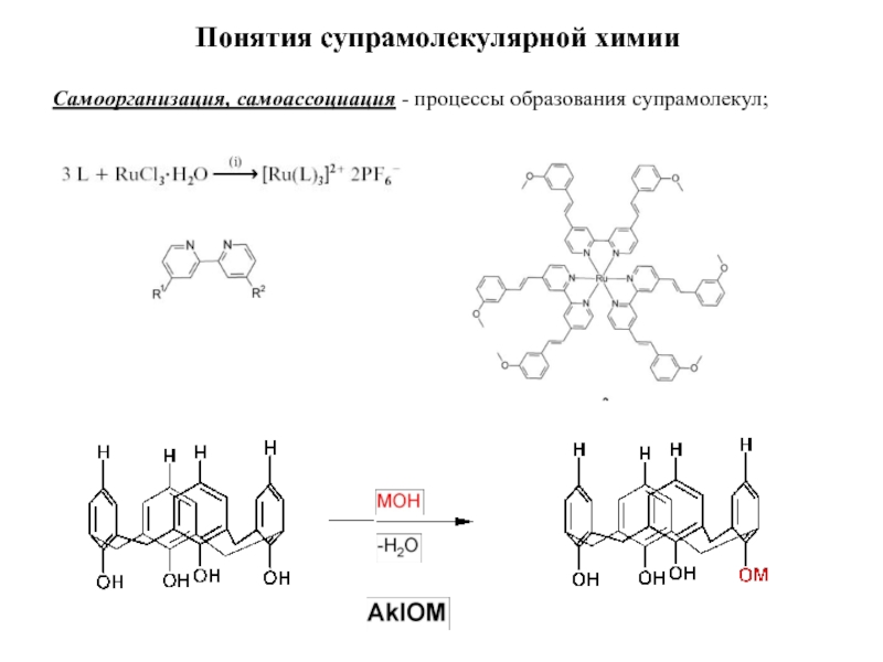 Биоорганическая химия. Самоорганизация в химии. Элементы биоорганической химии. Самоорганизация химических процессов.