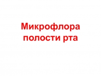 Микрофлора полости рта