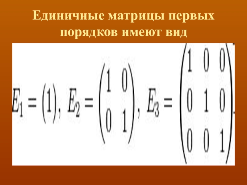 Единичная матрица. Единичная матрица третьего порядка пример. Единичная матрица 2 порядка. Единичная матрица четвертого порядка. Единичная матрица первого порядка.