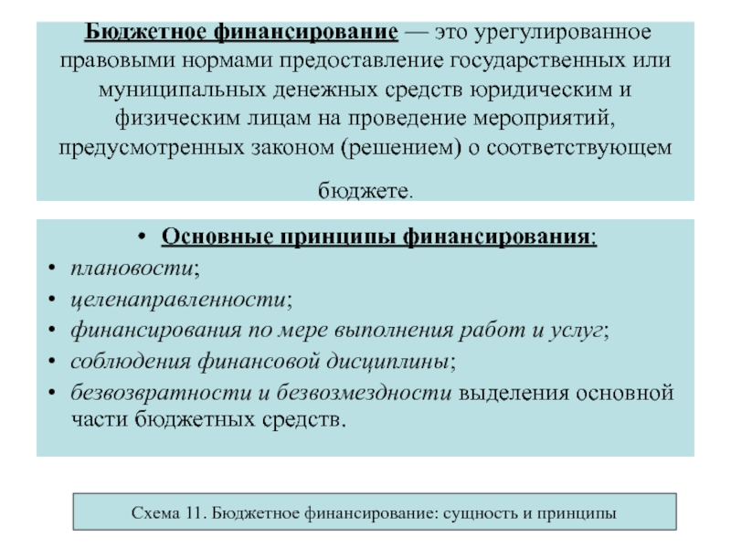 Бюджетное финансирование проектов это