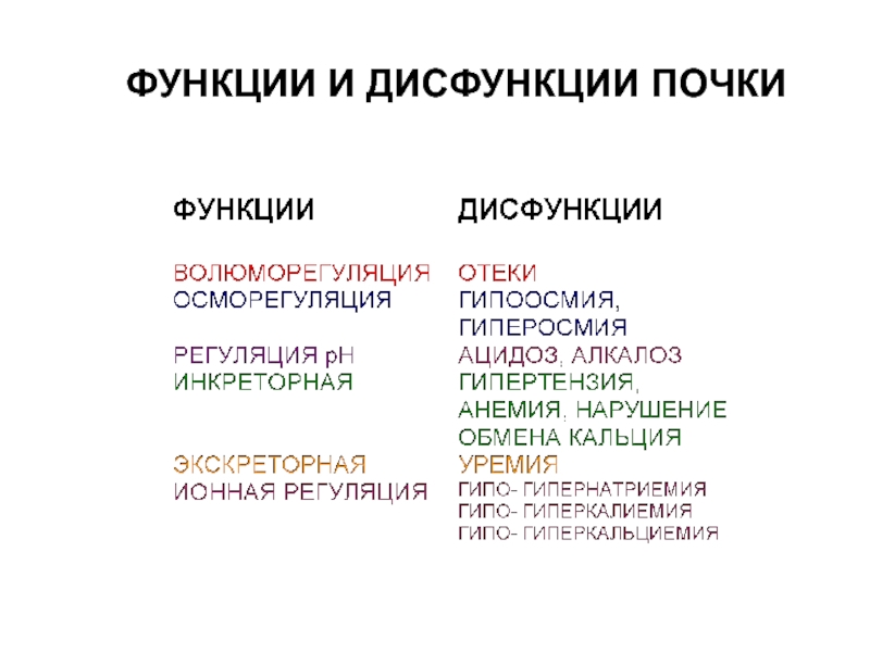 Нарушение функции почек. Функции и дисфункции. Дисфункция почек. Признаки дисфункции почек. Виды нарушения функций почек.