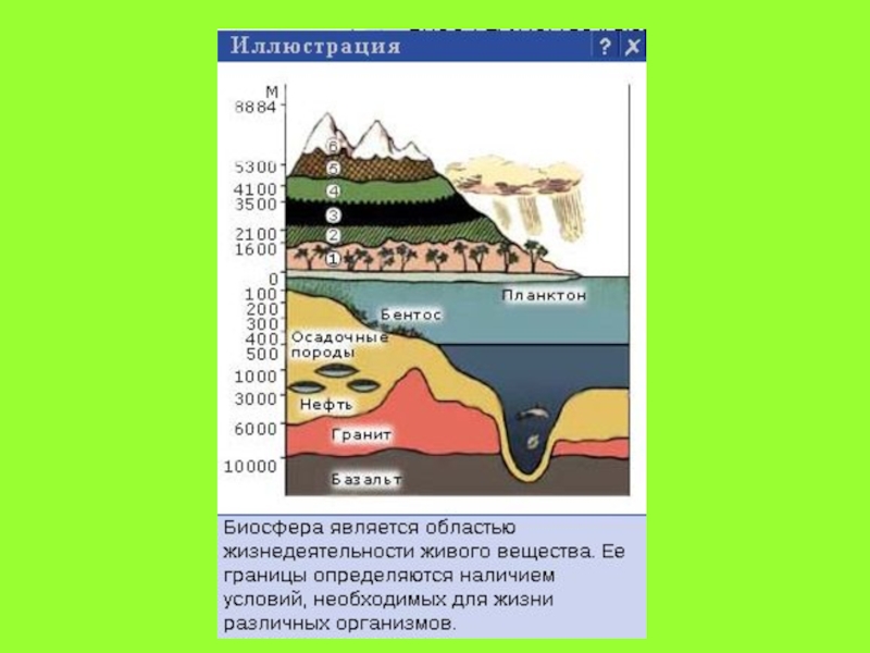 Биосфера структура биосферы 8 класс презентация