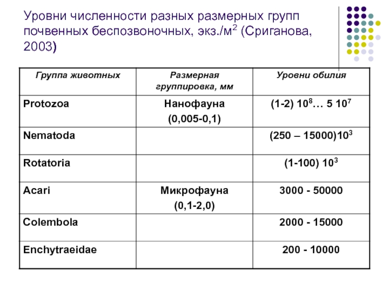 Уровень численности. Размерные группы почвенных животных. Количество групп животных. Численность групп беспозвоночных животных. Размерные группы почвенных животных в мм.