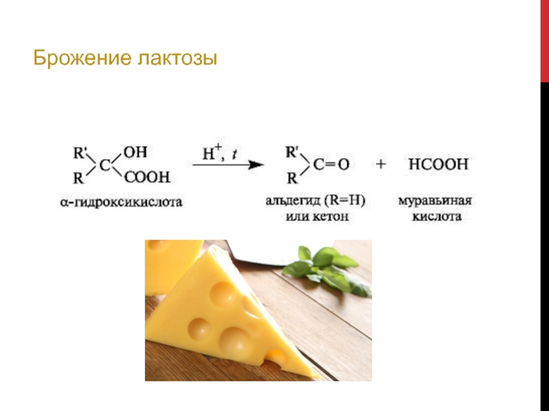 Ангус 4 сыра состав. Химическая формула сыра. Формула сыра в химии. Хим формула сыра. Сыр химическая формула.