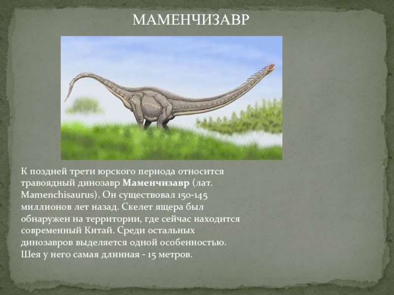 К поздней трети юрского периода относится травоядный динозавр Маменчизавр (лат. Mamenchisaurus). Он существовал 150-145 миллионов лет назад. Скелет ящера