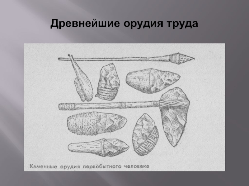 Опираясь на содержание 1 параграфа составьте из собственных рисунков иллюстративный ряд орудий труда