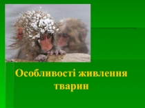 Особливості живлення тварин