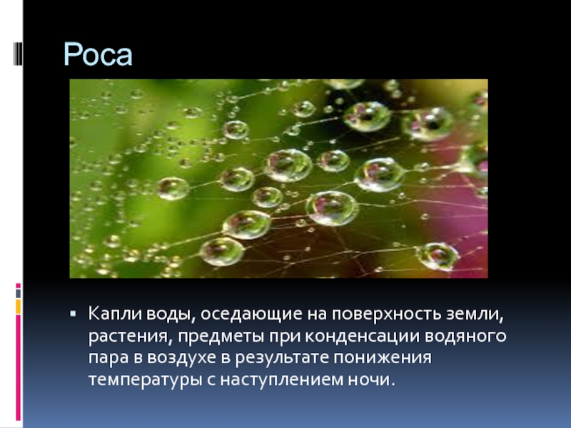 Вода в осе. При конденсации водяного пара на поверхности почвы. Капли воды на поверхности почвы и растений. Капельки воды в результате охлаждения водяных паров. Капля воды попадая на поверхность температура.