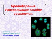 Пролиферация 