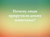 Почему люди приручили диких животных? 3 класс