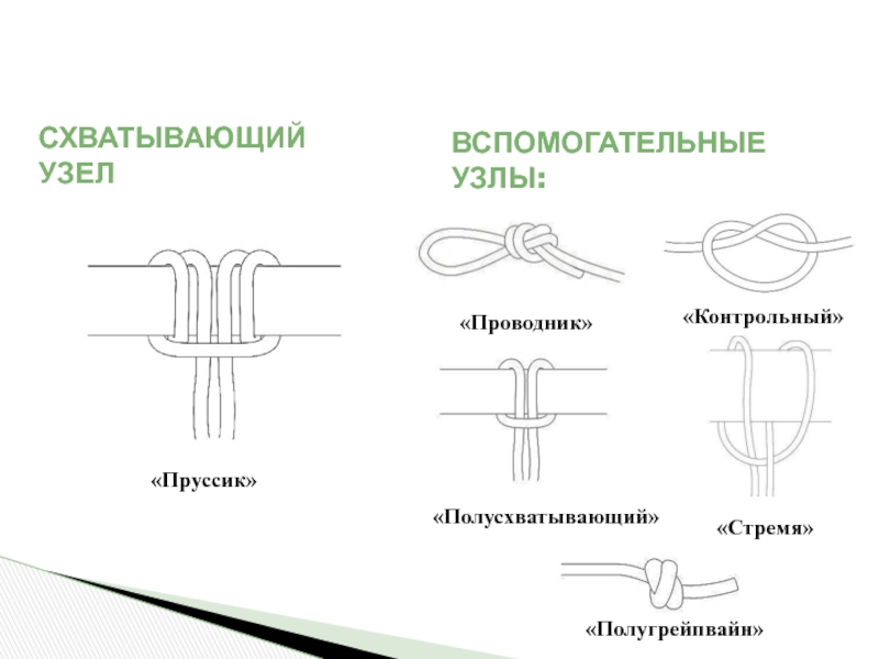 Грейпвайн удавка как вязать схема