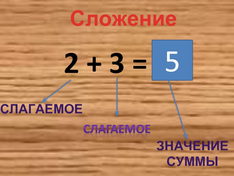 Суммы презентация. Слагаемое слагаемое сумма. Слагаемые слагаемые сумма. Сложение слагаемое. Слагаемое слагаемое значение суммы.