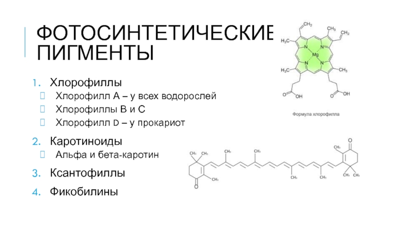 Хлорофиллы а б с д. Пигменты растений хлорофилл каротиноиды ксантофиллы. Хлорофилл каротиноиды и фикобилины. Пигмент хлорофилл формула. Каротин ксантофилл антоциан.