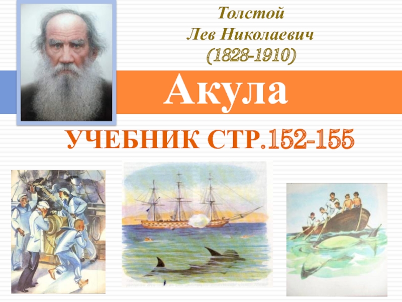 Рассказ акула толстой 3 класс. Лев Николаевич толстой акула. Л.Н.толстой акула презентация 3 класс. Сказка акула л н Толстого. 3 Класс литературное чтение л н. толстой акула.