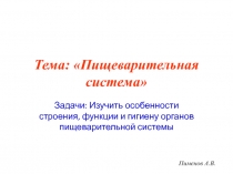 Тема: Пищеварительная система