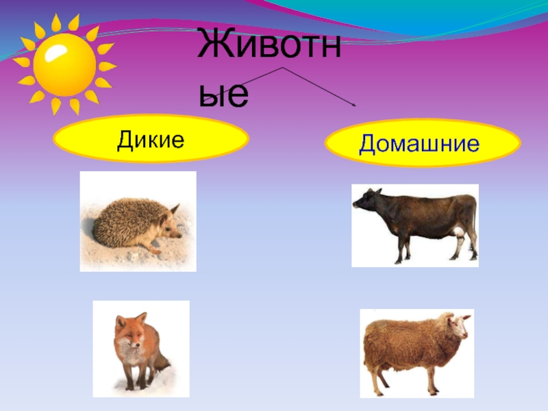 Презентация животного для 2 класса