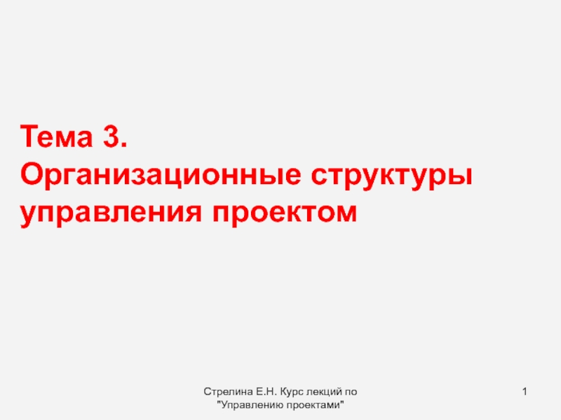 Организационные структуры управления проектом