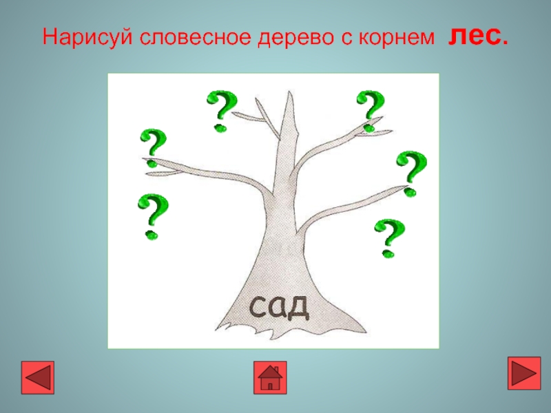 Рисовать однокоренные. Словесное дерево с корнем лес. Дерево родственных слов. Дерево родсьвсвенный слов. Дерево с однокоренными словами.