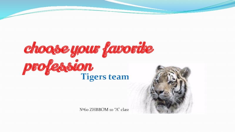 choose your favorite profession
Tigers team
№60 ZHBBOM 10 “A” class