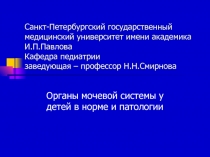 Органы мочевой системы 