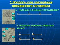 Древесные породы, их классификация