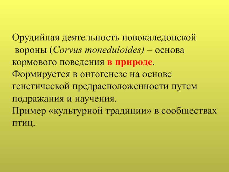 Рассудочная деятельность презентация