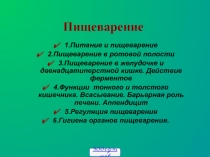 Пищеварение