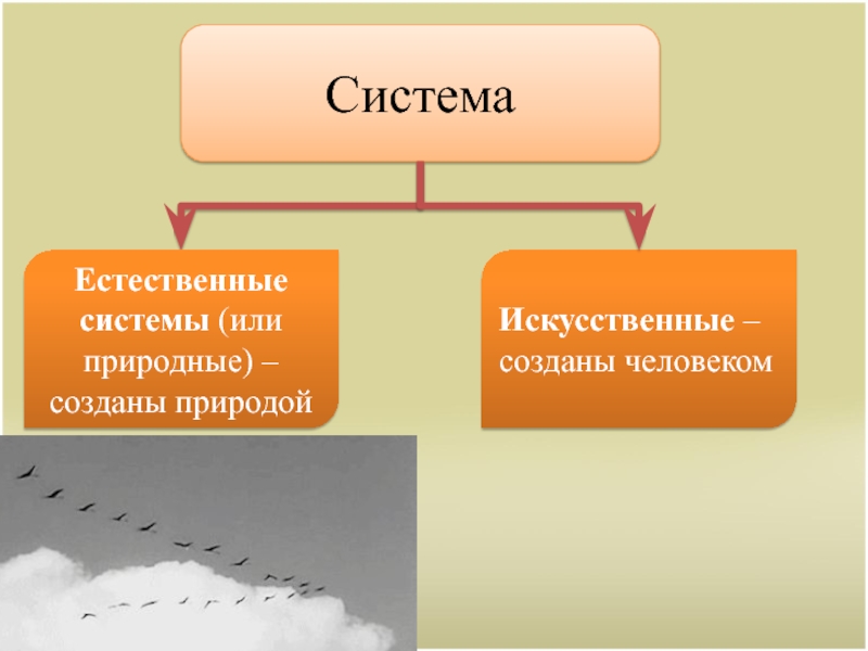 Естественные системы. Что такое естественная система природы. Введение в теорию систем презентация. Естественные – системы, созданные природой. 5 Примеров естественных систем созданных природой.