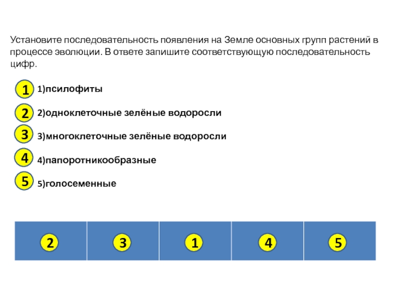 Установите последовательность появления