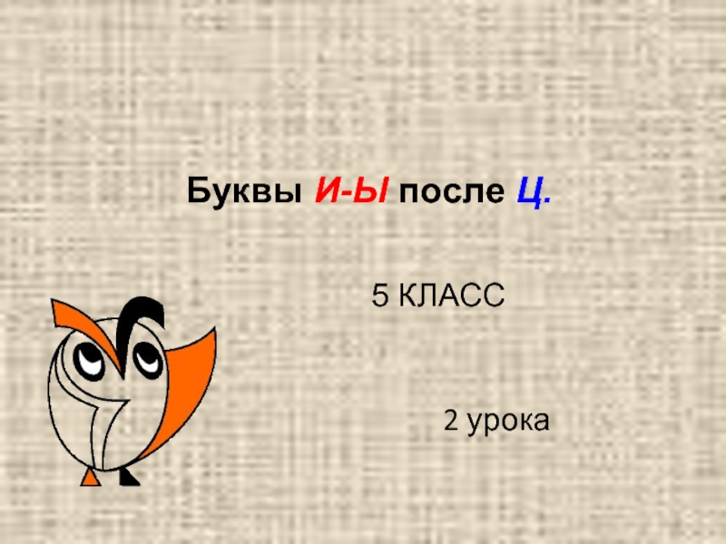 Русский язык 5 класс «Буквы Ы-И после Ц»