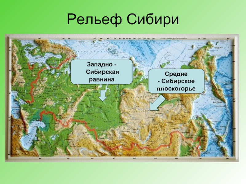 Рельеф СибириЗападно - СибирскаяравнинаСредне- Сибирское плоскогорье