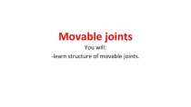 Movable joints