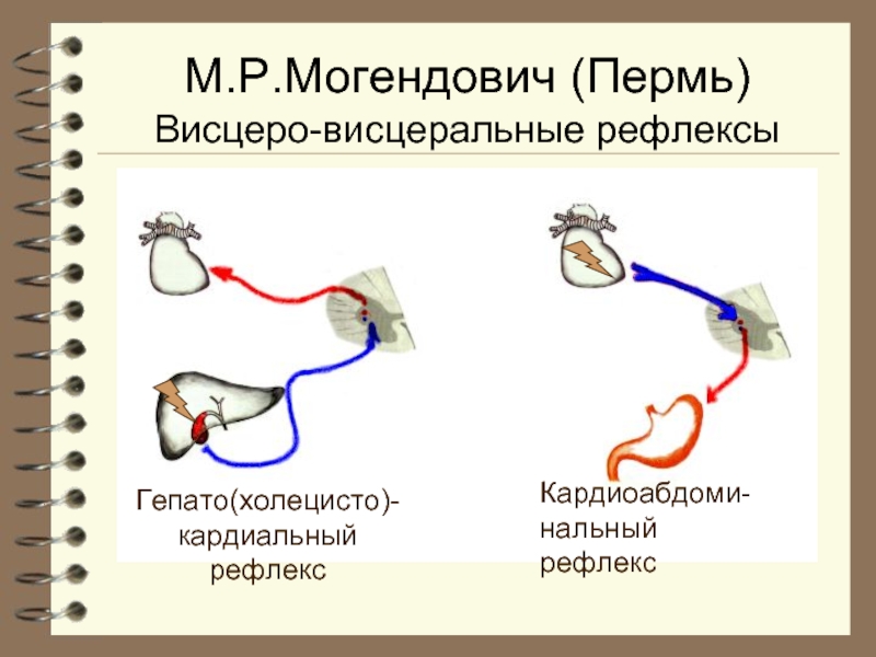 Р рефлекс. Могендович висцеро моторные рефлексы. Концепция моторно-висцеральных рефлексов. Теория моторно-висцеральных рефлексов схема. Висцеро соматический рефлекс.