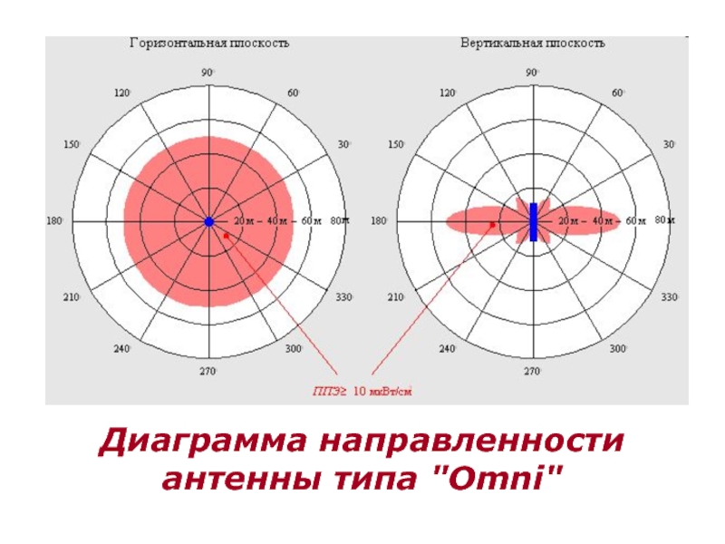 Диаграмма направленности перевод на английский