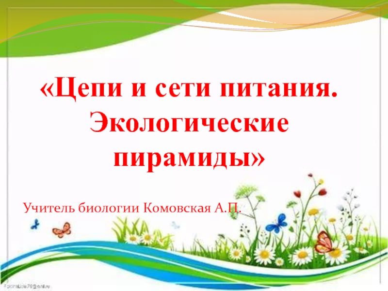 Презентация Цепи и сети питания. Экологические пирамиды