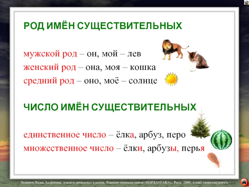 Средний род единственное. Род и число имен существительных. Род имён существительных число имен существительных. Имена существительные мужского рода единственного числа. Род и число имен существительных таблица.