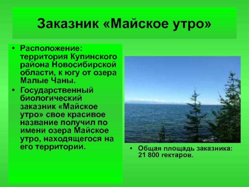 Заповедники новосибирской области презентация