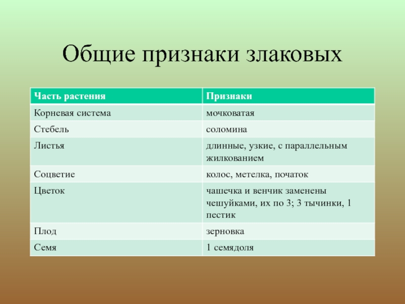 Характеристика семейства лилейные 6 класс по плану