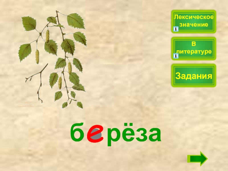 Значение слова береза. Лексическое значение слова мох. Ликсическое значение слово мох. Лексическое значение хаты. Лексическое слово мох.