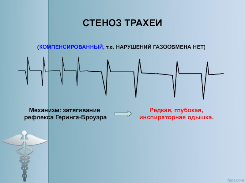 Патофизиология дыхания презентация