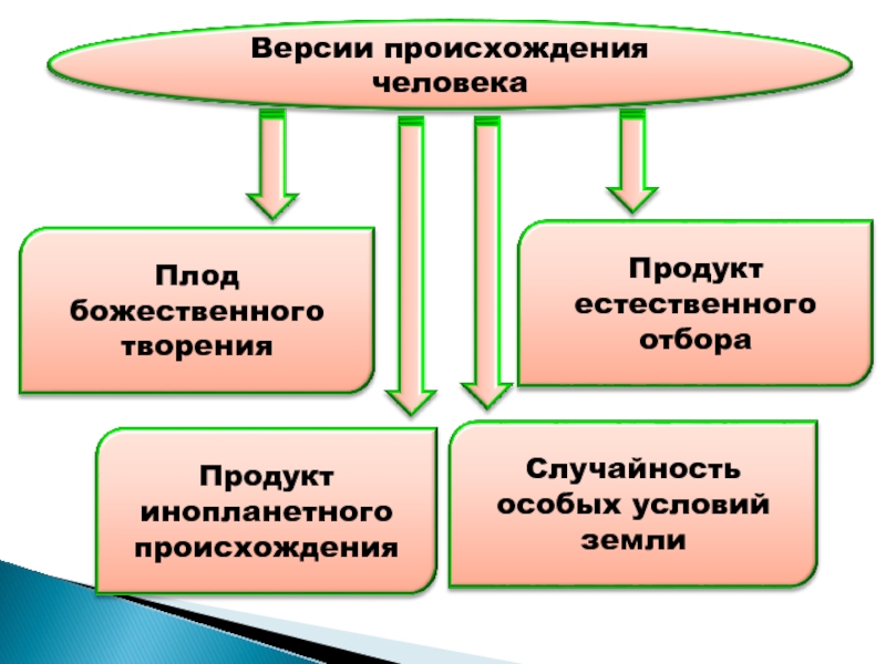 Проект на тему происхождение человека дискуссионные вопросы