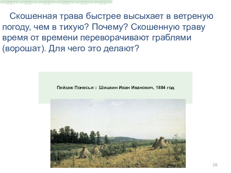 Скосили 3 7 луга найдите. Почему скошенная трава быстрее высыхает в ветреную погоду. Почему скошенная трава высыхает быстрее?. В какую погоду ветреную или тихую скошенная трава высохнет быстрее. Почему с ветром высыхает быстрее.