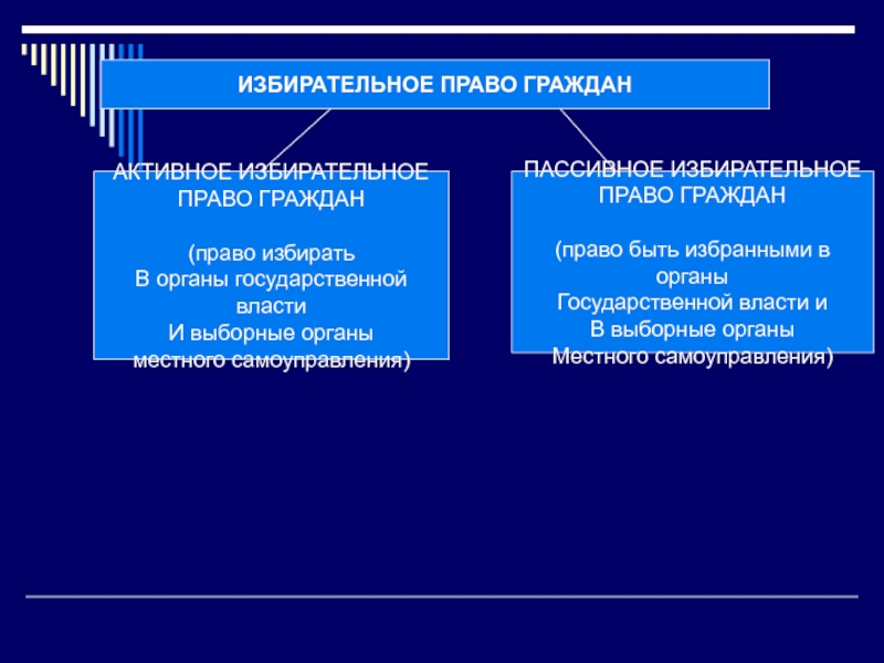 Выборные органы местного