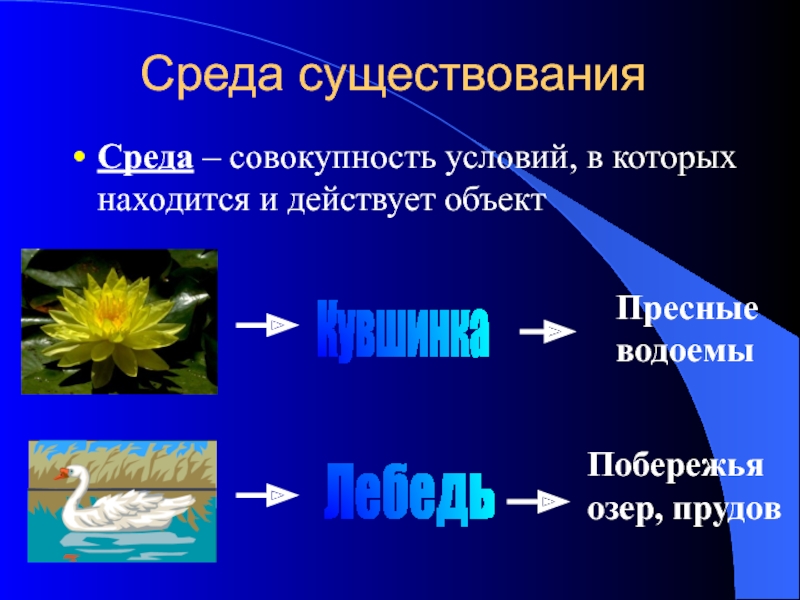 Объект среды. Среда существования. Совокупность условий в которых находится и действует объект. Среда существования человека. Условия существования это совокупность.