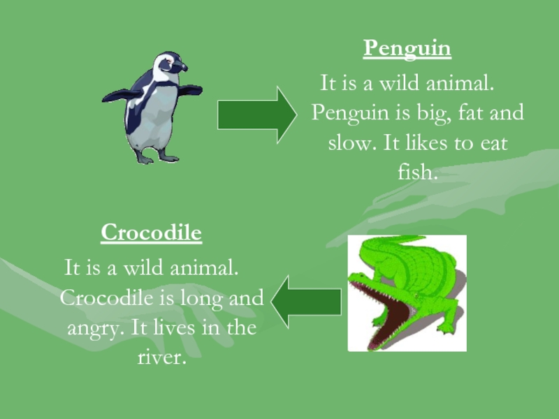 PenguinIt is a wild animal. Penguin is big, fat and slow. It likes to eat fish.CrocodileIt is